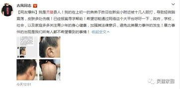 小美弟弟爆料视频全集在线观看